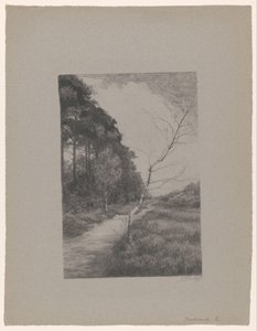 Caminho entre árvores de Jan Veth