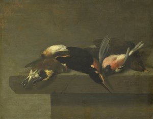 Aves mortas de Jan Vonck