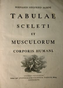 Álbuns 1, título da página, a partir de tabelas do esqueleto e dos músculos do corpo humano, por Bernhard Siegfried Albinus (1697-1770), publicado pela J.undH. Verbeek, bibliop., Leiden, 1747 de Jan Wandelaar