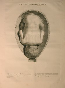 Albinus, PI. 3, a partir de uma "tabela de ossos humanos, por Bernhard Siegfried Albino (1697-1770), publicado por J.undH. Verbeek, bibliop., Leiden, 1748 de Jan Wandelaar