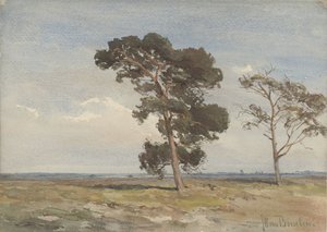 Vista da charneca com duas árvores
