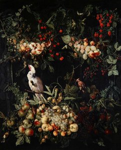 Espartilhos de frutas com flores ao redor de um cartucho com uma catatua com crista sulfurosa (óleo sobre tela) de Jan van (attr. to) Kessel