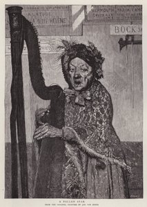 Uma Estrela Caída (litho) de Jan van Beers