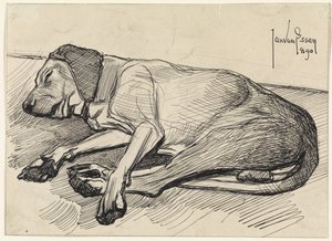 Cão adormecido, à esquerda