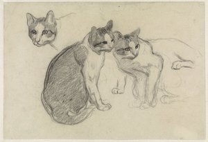 Folha de estudo com gatos de Jan van Essen