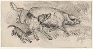 Dois cães a perseguir um porco de Jan van Essen