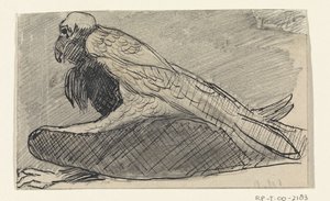 Abutre sentado de Jan van Essen