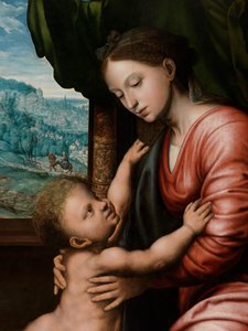 Detalhe de Virgem com Criança (óleo sobre painel) de Jan van Hemessen