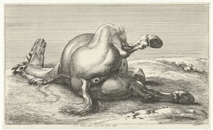 cavalo caído Cavalos Mortos (título da série)