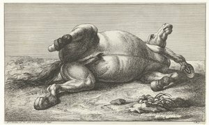 Cavalo morto deitado no seu lado esquerdo
Cavalos mortos (título da série)
