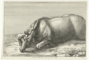 Cavalo morto visto do lado esquerdo
Cavalos mortos (título da série) de Jan van Huchtenburg