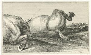 Dois cavalos mortos atrás um do outro Cavalos Mortos (título da série)