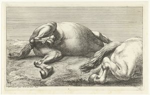 Dois cavalos caídos, com o direito visto de lado
Cavalos mortos (título da série) de Jan van Huchtenburg