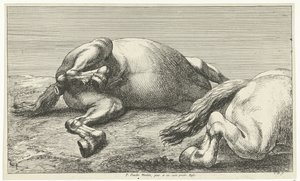 Dois cavalos caídos, o direito visto de lado Cavalos Mortos (título da série)