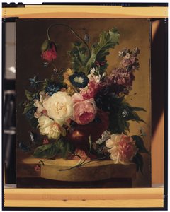 Ainda-vida da flor