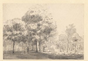 Vista do Haarlemmerhout, Haarlem de Jan van Kessel (attributed to)