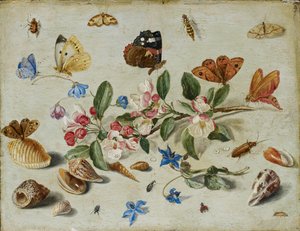 Flores e insetos, final da década de 1650 ou início da década de 1660