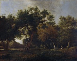 Vista na floresta de Jan van  Kessel