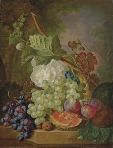 Flores, uvas, ameixas, nozes e um melão num parapeito de pedra de Jan van Os