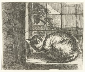 O gato na moldura da janela de Jan van Ossenbeeck