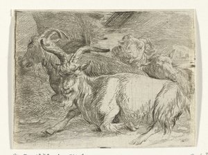 Dois caprinos e dois ovinos de Jan van Ossenbeeck