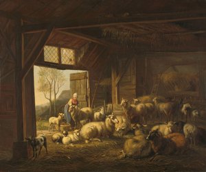 Ovelhas e cabras em um estábulo