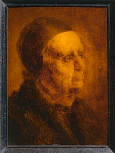 Cabeça de estudo do velho ... de Jan van de Venne