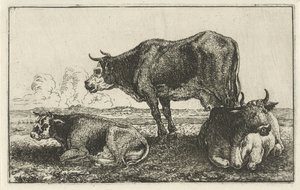 Três vacas Animais (título da série) Zoographiam (título da série)