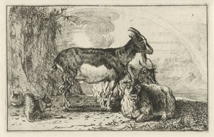 cabras Animais (título da série) Zoographiam (título da série)
