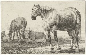 Cavalos e vacas
Animais (título da série)
Zoographiam (título da série)