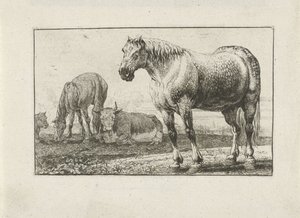 Cavalos e vacas Animais (título da série) Zoographiam (título da série)