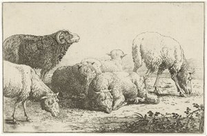 Schapen
Dieren (título da série)
Zoographiam (título da série)