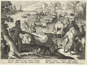 Marinheiros num país horrendo e bárbaro matam camelos com mosquetes para aliviar a fome, ilustração de "Venationes, Ferarum, Avium, Piscium" (De Caça: Bestas, Aves, Peixes), gravada por Jan Collaert (1566-1628), pub. por Phillipus Gallaeus, Amster de Jan van der (1523 1605) Straet
