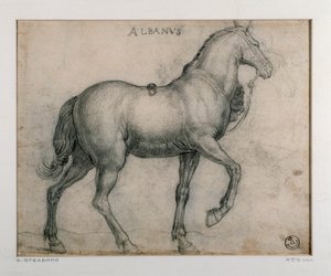 Estudo para um desenho de cavalo por Giovanni Stradano (Jan van der Straet) (1523-1605) Florence, Gabinetto Disegni e Stampe, Uffizi (Escritórios) de Jan van der Straet