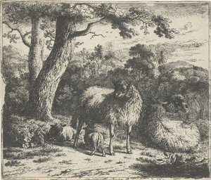 Ovelhas em pé com dois cordeiros de Jan van der Meer (II)