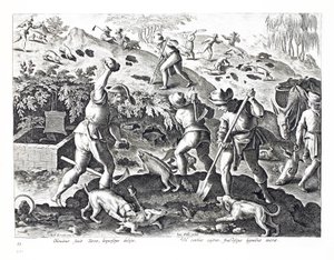Escavar e capturar texugos, ilustração de &39;Venationes, Ferarum, Avium, Piscium&39; (de caça: feras, pássaros, peixes), gravada por Jan Collaert (1566-1628), pub. por Phillipus Gallaeus, Ams de Jan van der Straet