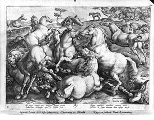 Cavalos selvagens de Jan van der Straet