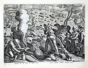 Caçando coelhos, ilustração de &39;Venationes, Ferarum, Avium, Piscium&39; (da caça: Bestas selvagens, pássaros, peixes), gravada por Jan Collaert (1566-1628), bar. por Phillipus Gallaeus, Amsterdã