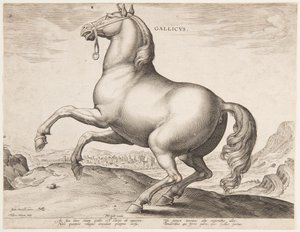 Um cavalo francês, do primeiro conjunto de "Equile Joannis Austriaci" de Jan van der Straet, called Stradanus