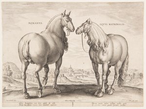 Um Cavalo Romano, do primeiro conjunto de "Equile Joannis Austriaci"