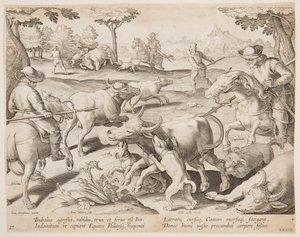Buffalo Hunt, placa 27 da série Hunts of Game, Birds, and Fish de Jan van der Straet, called Stradanus