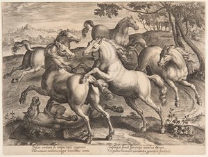 Fighting Horses, do quarto set de "Equile Joannis Austriaci" de Jan van der Straet, called Stradanus