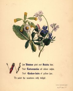 Margaridas, violetas, malmequeres e botões de cuco de Jane Elizabeth Giraud