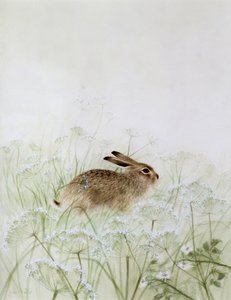 Coelho de Jane Neville