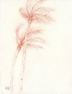 Once Upon a Tropical Vacation Palm Trees, c.2019 (lápis sobre papel) de Janel Bragg