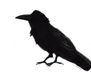 Raven at Baker Beach, c. 2023 (técnica mista sobre papel) de Janel Bragg