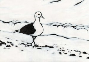 Gaivota de Washington Park, c.2017 (carvão e gesso sobre papel) de Janel Bragg