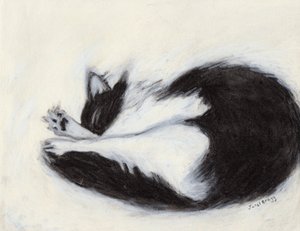 Thomas Taking a Nap, c.2018 (carvão e pastel sobre papel)