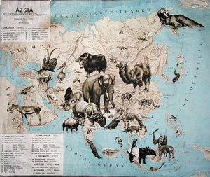 Mapa de animais na Ásia e no Extremo Oriente de Janos Balint