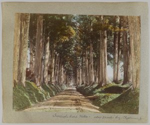 Imaichi Road, Nikko, Japão (foto colorida à mão em preto e branco) de Japanese Photographer